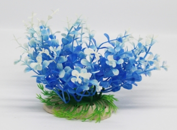 صورة زرع مائي 173