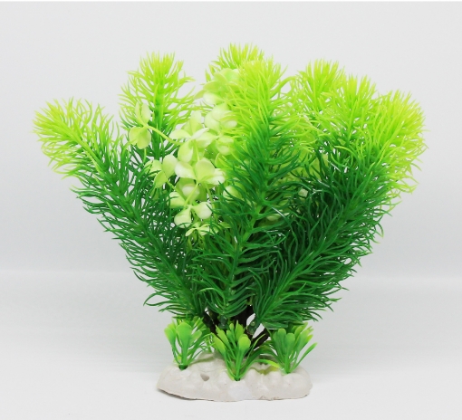 صورة زرع مائي 171