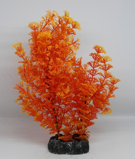 صورة زرع مائي 502