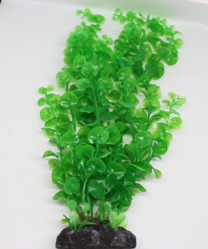 صورة زرع مائي 510 