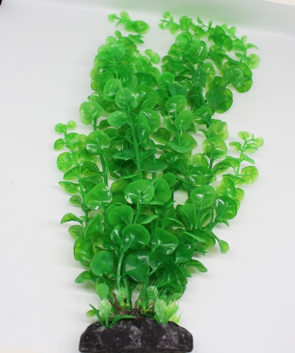 صورة زرع مائي 510 