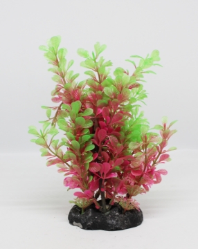 صورة زرع مائي 217