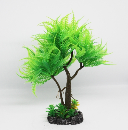 صورة زرع مائي 530