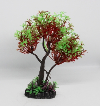 صورة زرع مائي 545