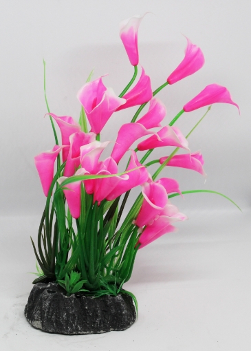 صورة زرع مائي 664 