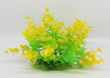 صورة زرع مائي 444