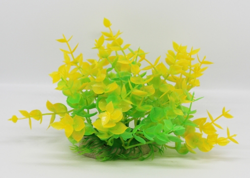 صورة زرع مائي 444