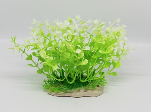 صورة زرع مائي 447