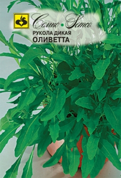 صورة بذور جرجير بري