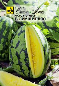 صورة بذور بطيخ  اصفر