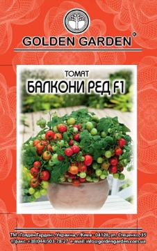 صورة بذور طماط قزمي F1 أ