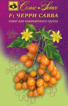 صورة F1بذور  طماطم كرزية برتقالية