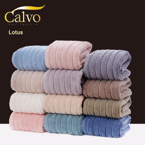 صورة فوطه موديل 3 M