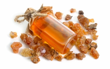 صورة علك البان