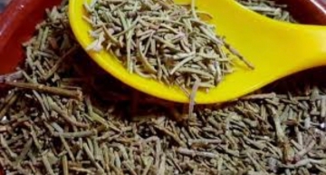 صورة عشبة العرعر