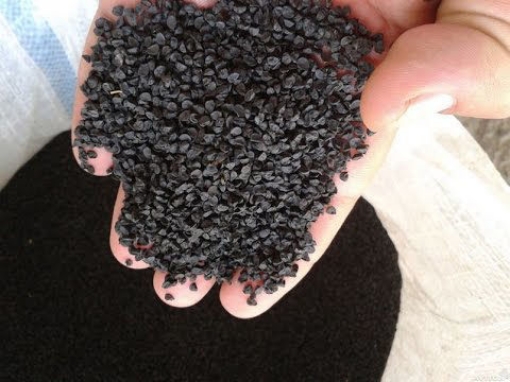 صورة seed-11 بذور بصل اخضر