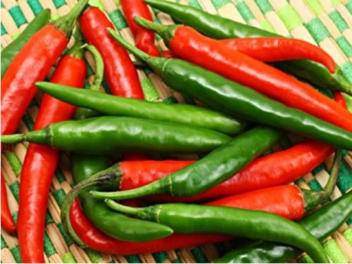 صورة seed-12 بذول فلفل هندي