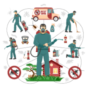 صورة لقسم اكسسوارات الحديقة