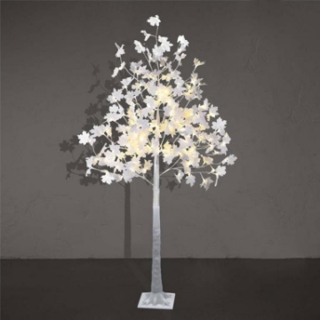 صورة white maple tree light
