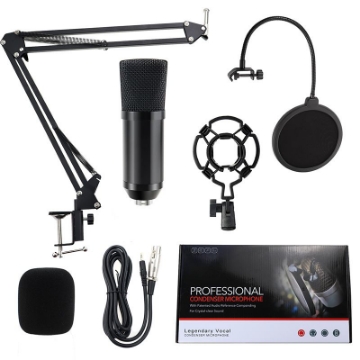 صورة Professional Condenser Microphone