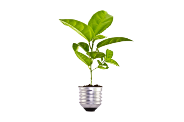 صورة لقسم الزراعة